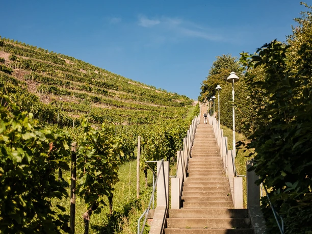 Stufen der Spitzhaustreppe Radebeul Stufen der Spitzhaustreppe Radebeul