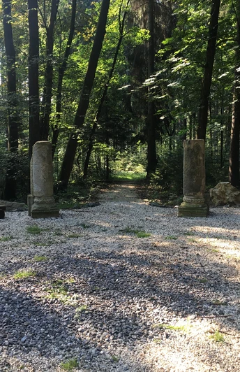 Wettinhain im Buchholzer Wald