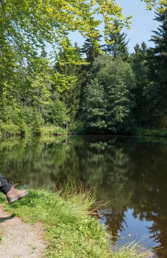 Am Meiler in Schöneck