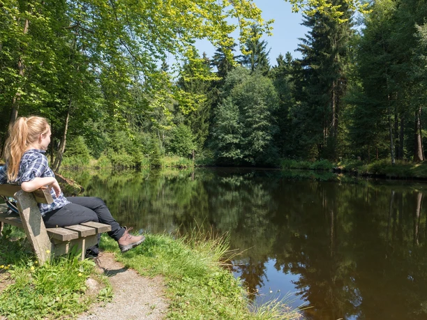 Am Meiler in Schöneck