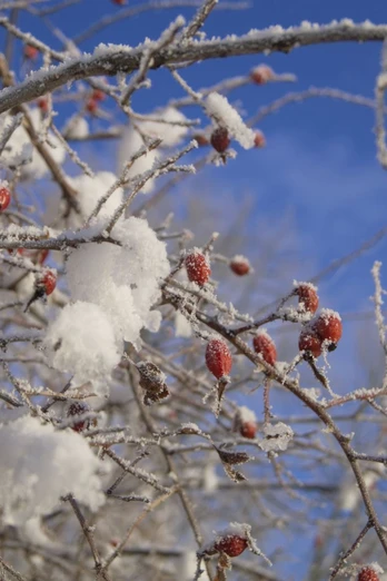 Winter in der Region