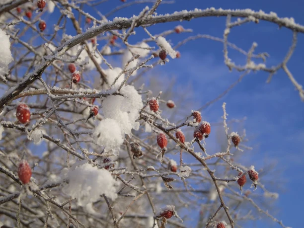 Winter in der Region