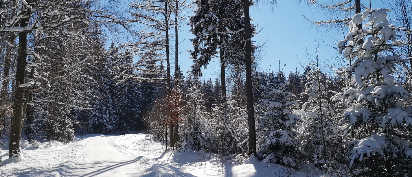 Winterlandschaft am Gerstenberg
