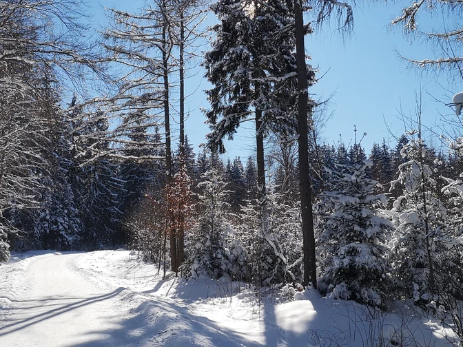 Winterlandschaft am Gerstenberg
