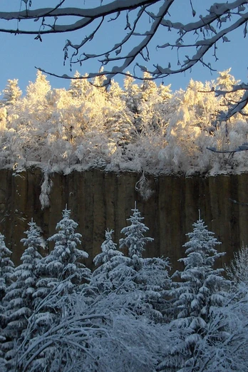 Orgelpfeifen Scheibenberg