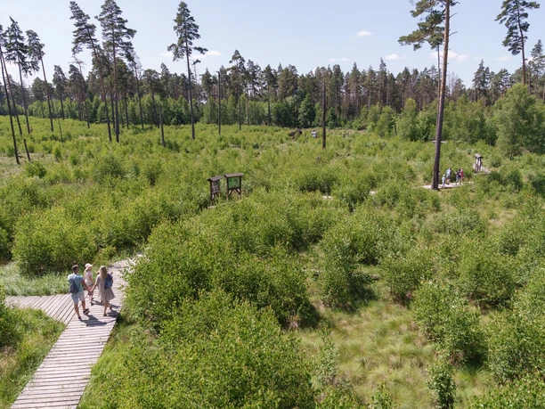 Moorerlebnispfad Pöllwitzer Wald