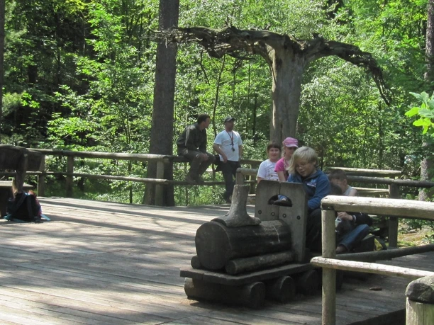 Walderlebnis Grillenburg