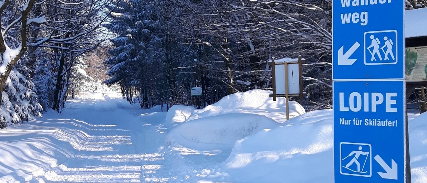 Winterwandern in Deutscheinsiedel