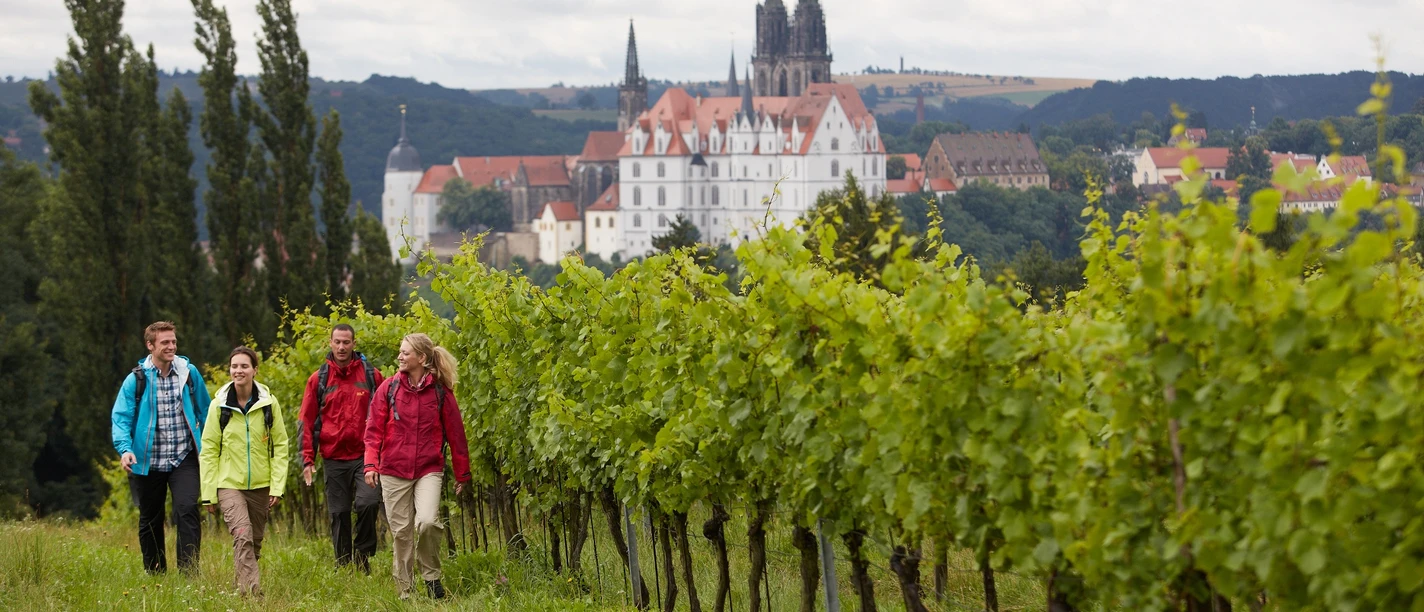 TMGS Weinbergwanderung