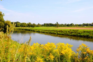 Mulde bei Bad Düben
