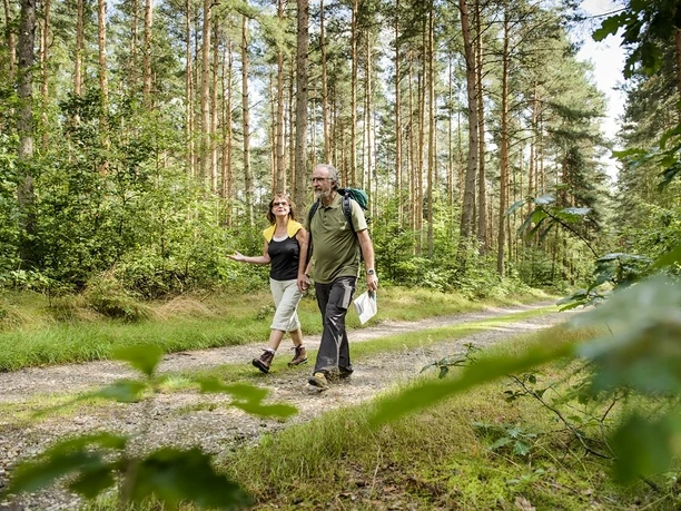 Wanderer in der Dahlener Heide