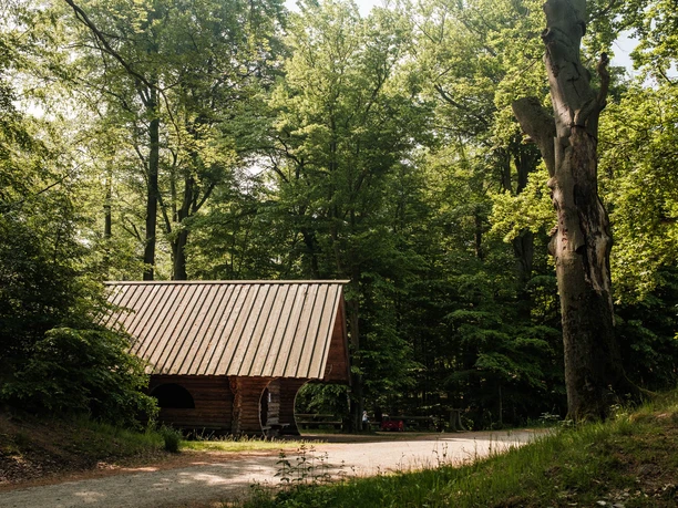 Pausenort im Moritzburger Wald