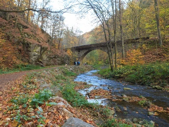 Herbst im Rabenauer Grund