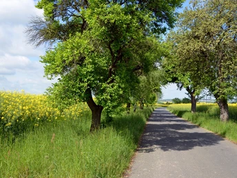 Lutherweg bei Waldheim