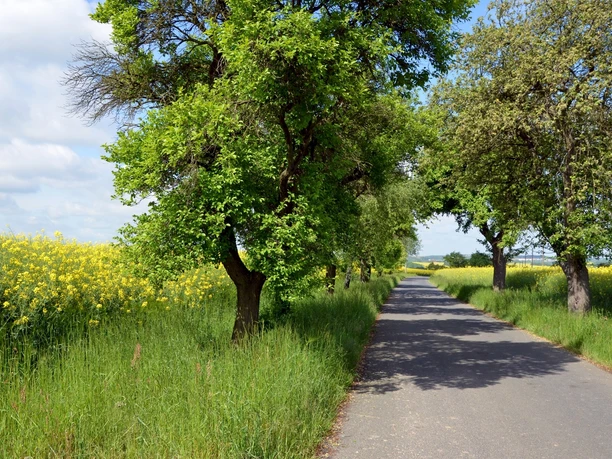 Lutherweg bei Waldheim