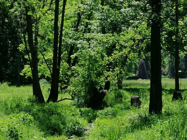 Trebnitzgrund bei Oberschlottwitz
