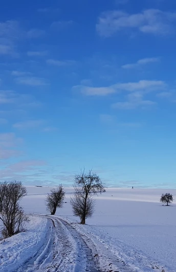 Panoramarundweg und Fernwanderweg Ostsee-Saaletalsperren - zwischen Hohenfichte und Augustusburg