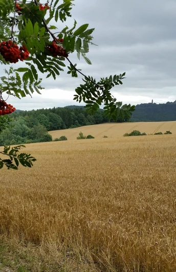 Großer Rundweg Erdmannsdorf Blick auf Augustusburg