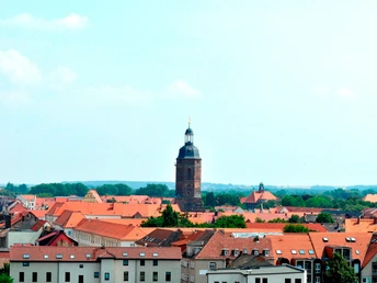 Eilenburg, Stadtpanorama