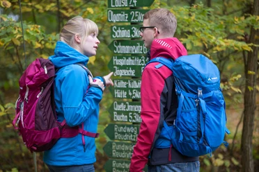 Wanderer in der Dahlener Heide