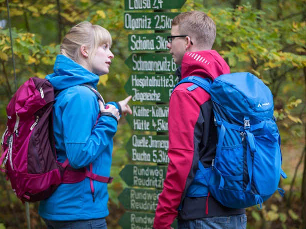 Wanderer in der Dahlener Heide