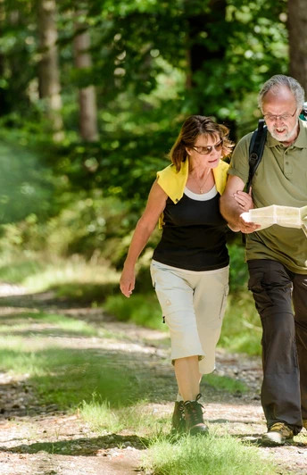 Wandern in der Dübener Heide