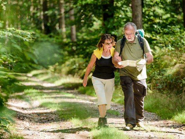 Wandern in der Dübener Heide