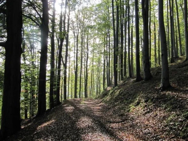 Auf dem Kammweg zum Stösserfelsen