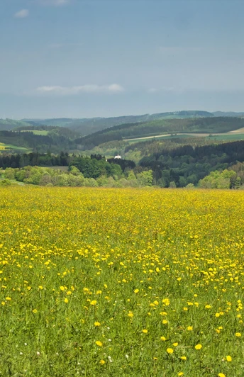 kurz nach Rechenberg-Bienenmühle
