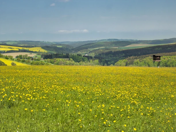 kurz nach Rechenberg-Bienenmühle