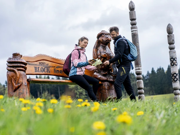 Meilensteine der Blockline in Oberholzhau