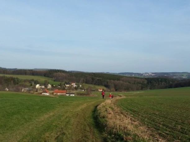 Blick nach Grünberg