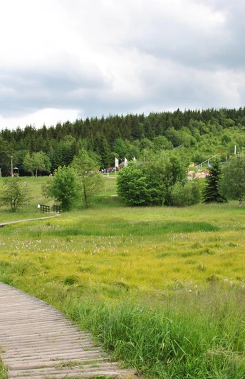 Blick zur Sommerrodelbahn, Erlebnisberg Altenberg