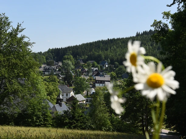 Bärenfels Ortsansicht