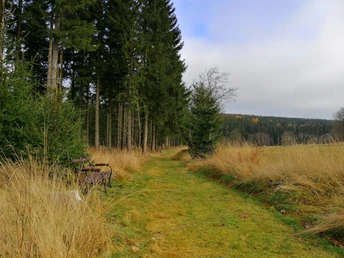 Wanderweg in Schellerhau