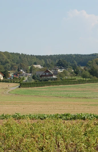 Treuen - Blick in Richtung Perlas