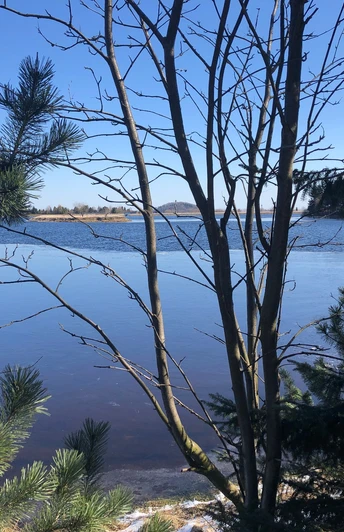 Blick auf den großen Galgenteich