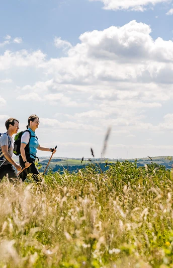 Wandern in der Urlaubsregion Altenberg