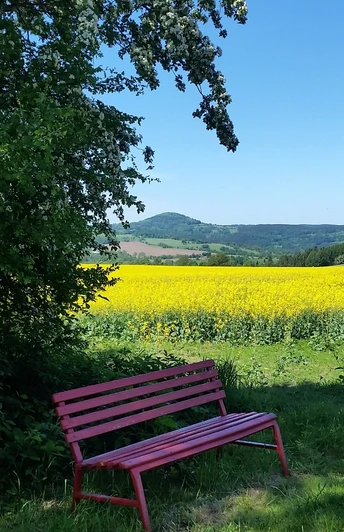 Talsperrenweg zwischen Lauenstein und Liebenau, George-Bähr-Wanderweg