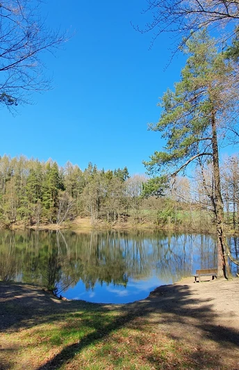 Lichtung am Unteren Fließteich
