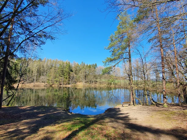 Lichtung am Unteren Fließteich