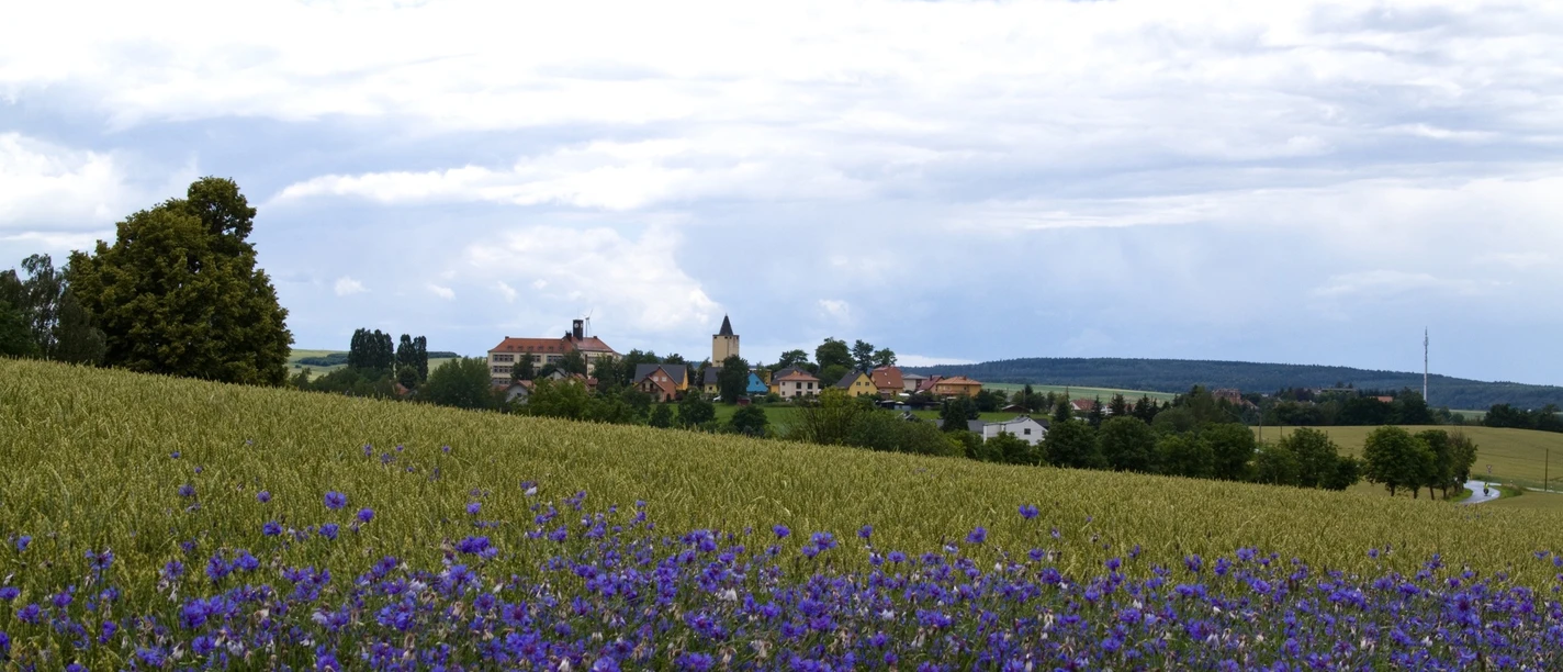 Blick auf Rabenau