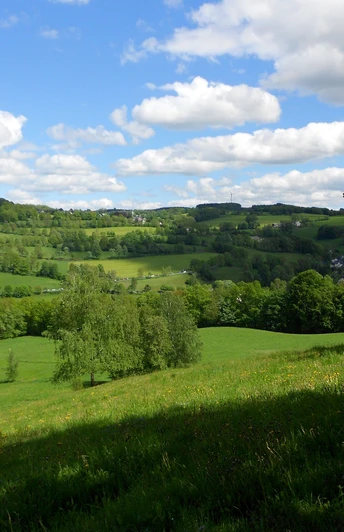 Unterwegs in der Natur
