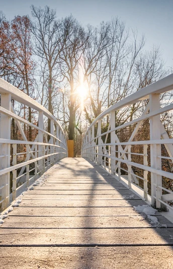 Brücke im Schlosspark Lützschena