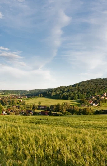 Blick zum Taubenberg