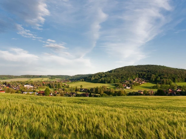 Blick zum Taubenberg
