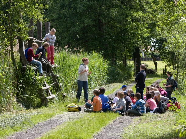 Kindergruppe auf dem Erlebnispfad