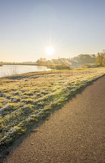Elberadweg bei Belgern-Schildau