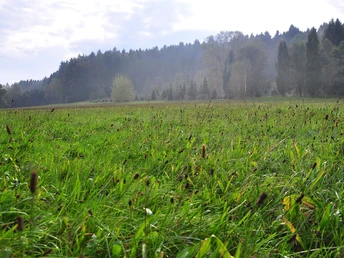 Anfang Naturlehrpfad