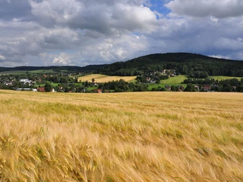 Blick zum Taubenberg